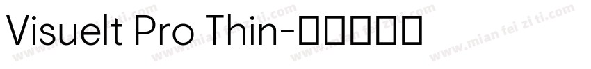 Visuelt Pro Thin字体转换